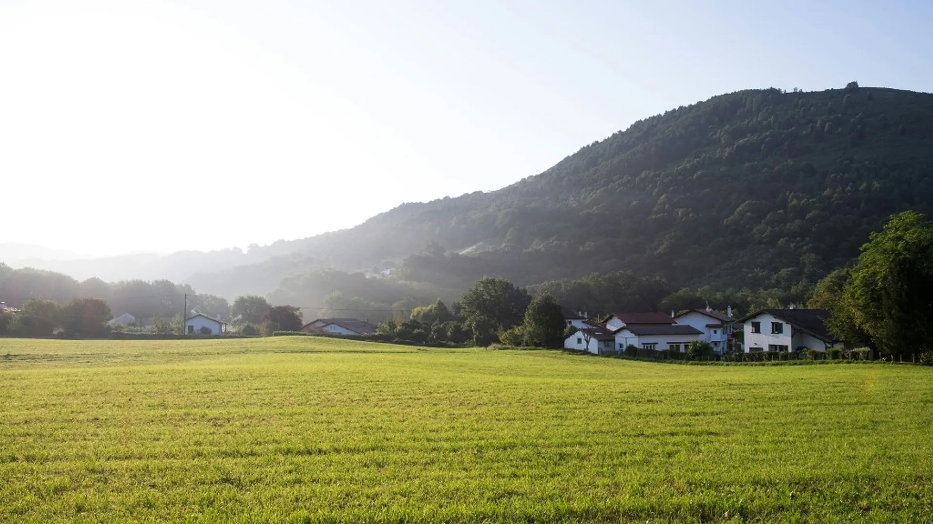 Pradera verde con casas al pie de una montaña boscosa